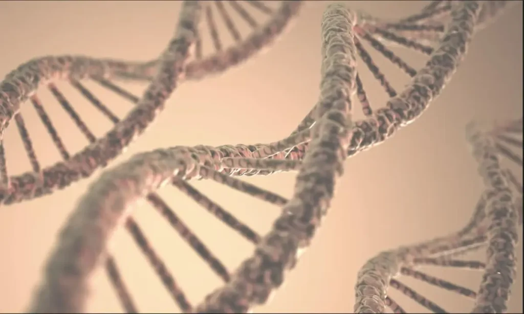 Ilustrasi struktur DNA heliks berganda