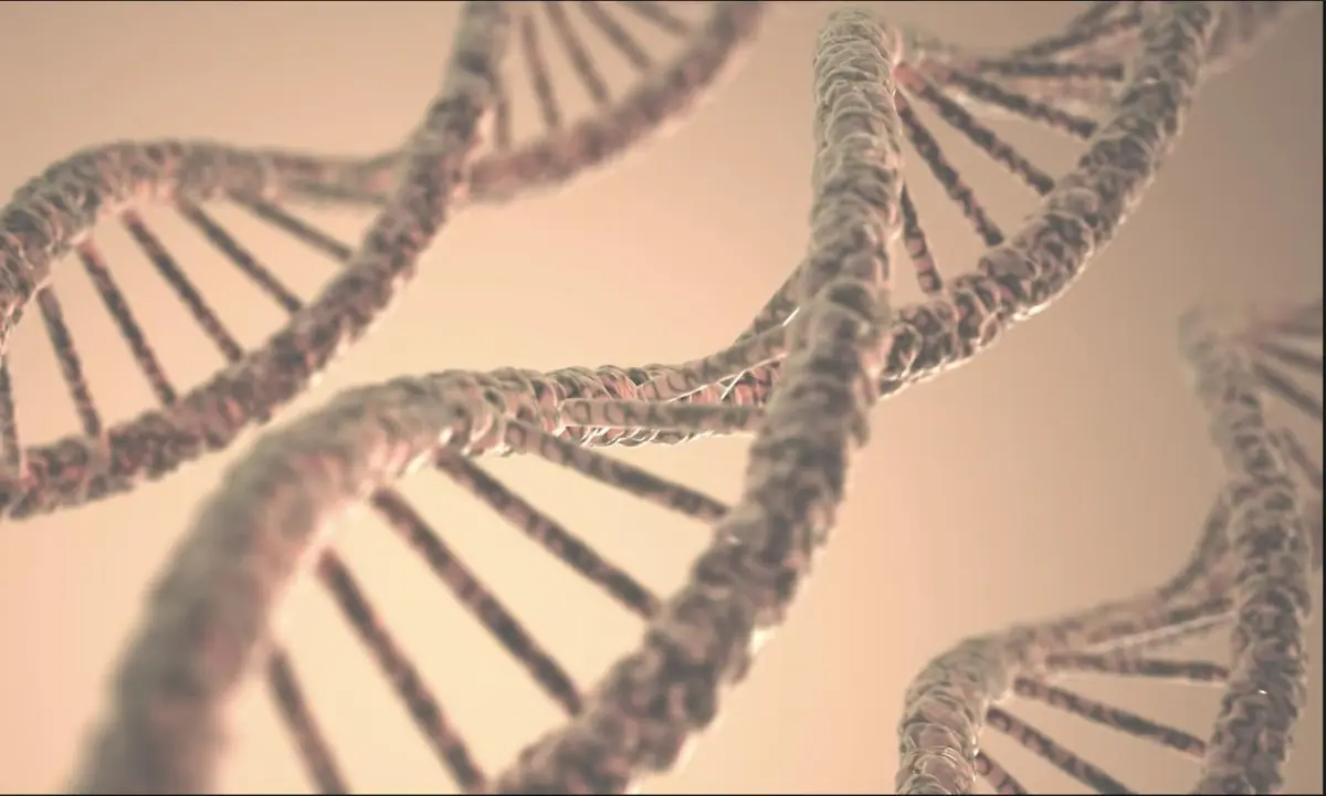 Ilustrasi struktur DNA heliks berganda